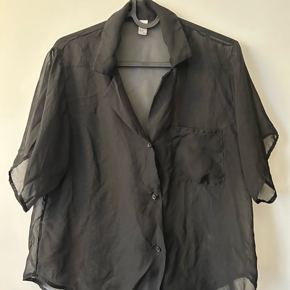 American Apparell Chiffon Sheer Button-Up Blouse